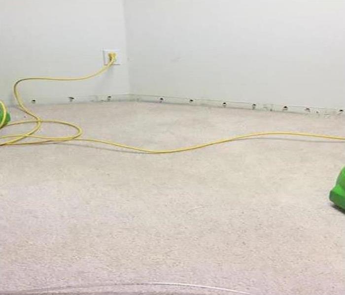 carpeting dried using our advanced equipment