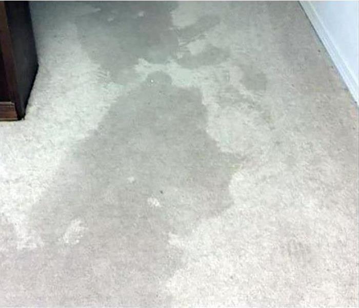 flooding damaged carpeting