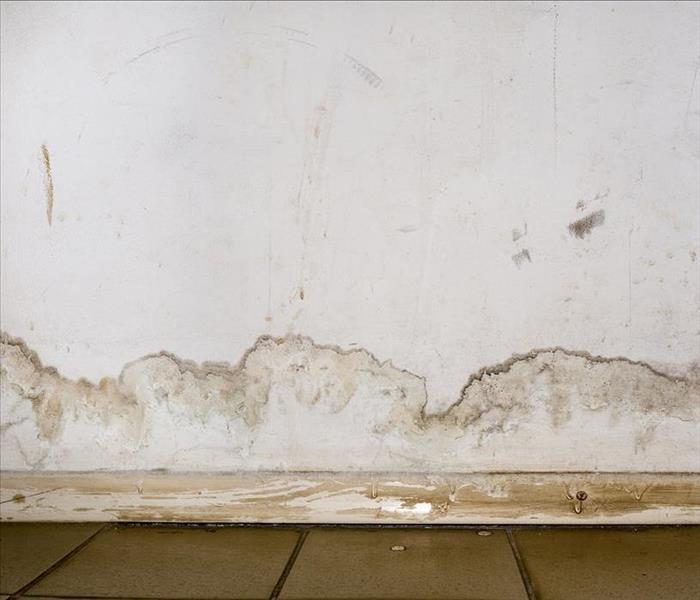 mold damage wall